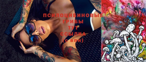 прущие грибы Алексин