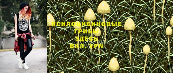 кристаллы Алзамай
